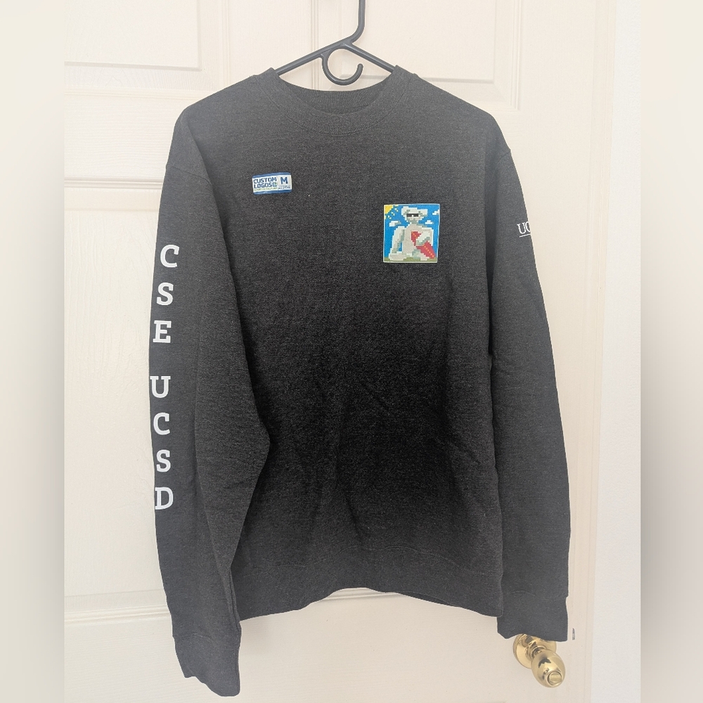 Gray UCSD Graphic Sweatshirt
